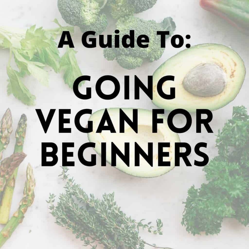 How to Go Vegan: A Step-by-Step Beginner Guide